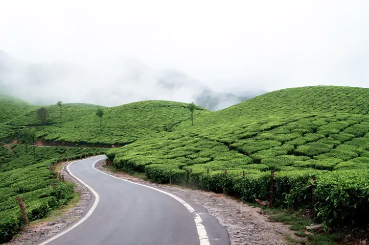 Kerala Holiday Packages